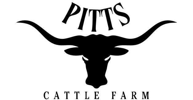 Widget Image